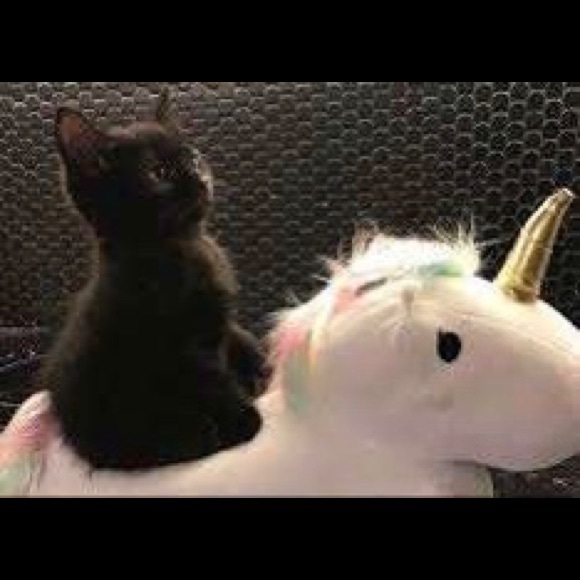 Freedom Fairy for all things cute, glittery $FUN. - Picture 11 of 11